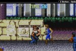 Double Dragon Advance (Game Boy Advance)