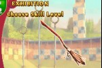 Harry Potter: Quidditch World Cup (Game Boy Advance)