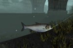 Reel Fishing III (PlayStation 2)