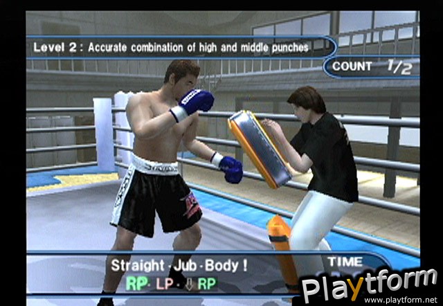 K-1 World Grand Prix (PlayStation 2)