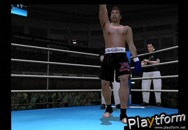 K-1 World Grand Prix (PlayStation 2)