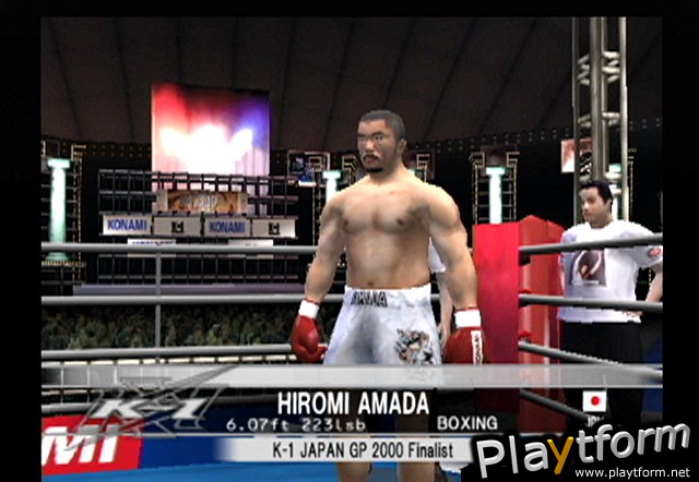 K-1 World Grand Prix (PlayStation 2)