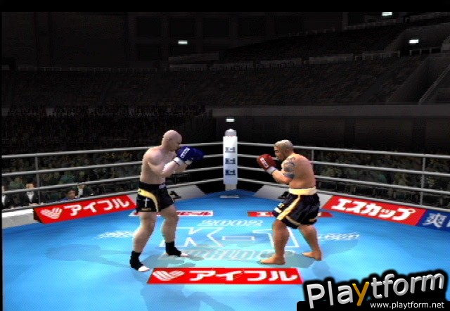 K-1 World Grand Prix (PlayStation 2)