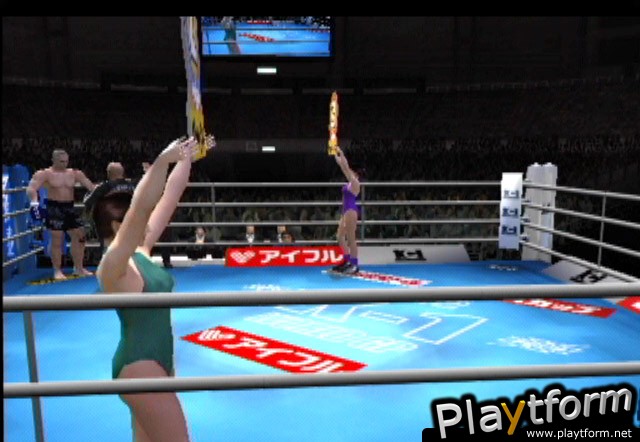 K-1 World Grand Prix (PlayStation 2)