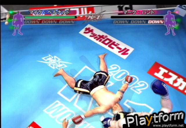 K-1 World Grand Prix (PlayStation 2)