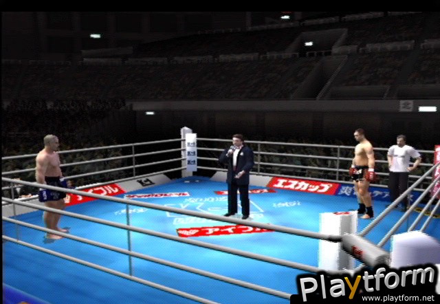 K-1 World Grand Prix (PlayStation 2)