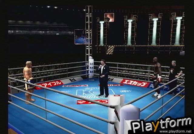 K-1 World Grand Prix (PlayStation 2)