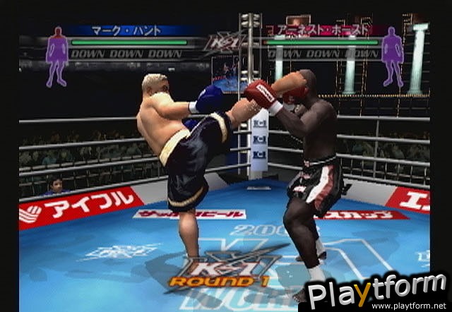 K-1 World Grand Prix (PlayStation 2)