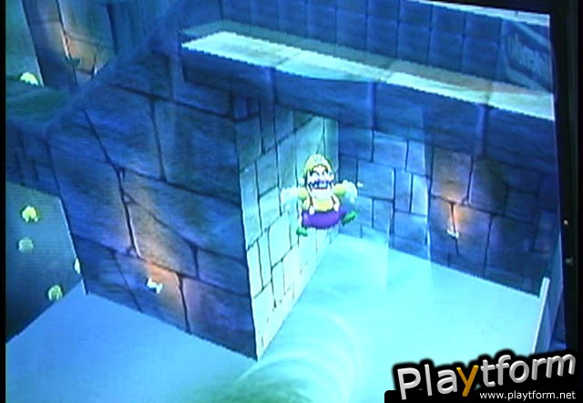 Wario World (GameCube)