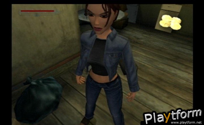 Lara Croft Tomb Raider: The Angel of Darkness (PlayStation 2)