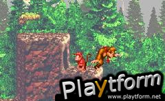 Donkey Kong Country (Game Boy Advance)