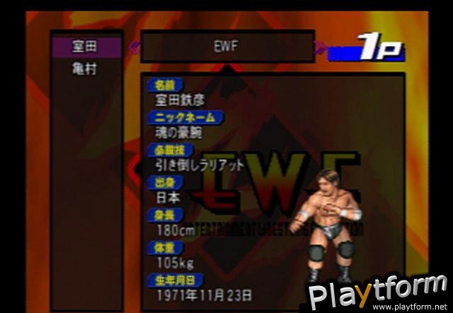 Fire ProWrestling Z (PlayStation 2)