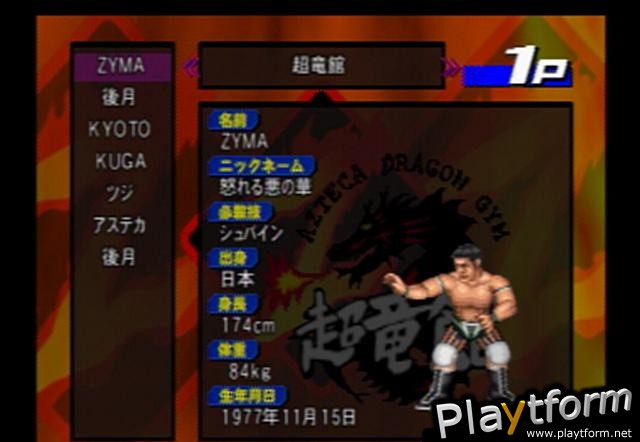 Fire ProWrestling Z (PlayStation 2)