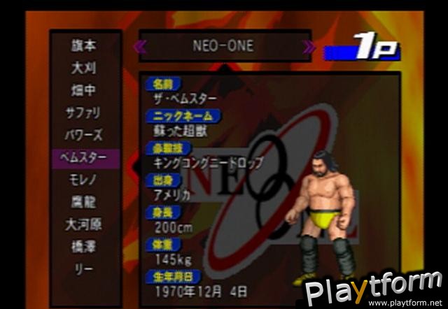 Fire ProWrestling Z (PlayStation 2)