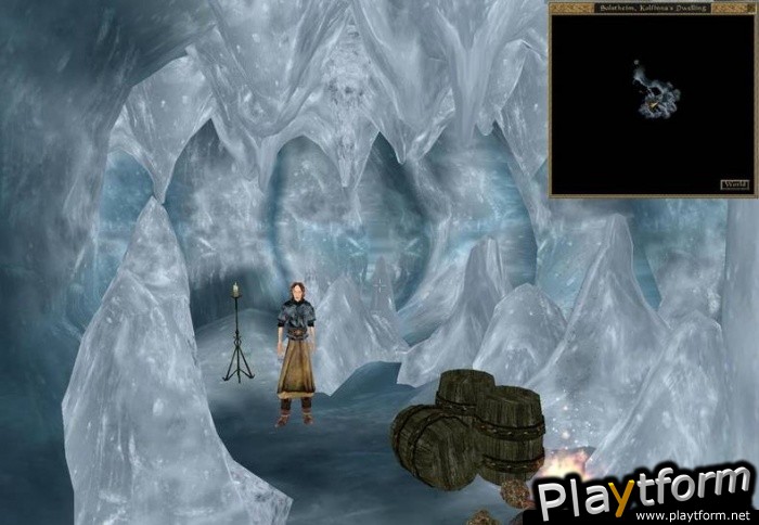 The Elder Scrolls III: Bloodmoon (PC)