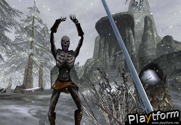 The Elder Scrolls III: Bloodmoon (PC)