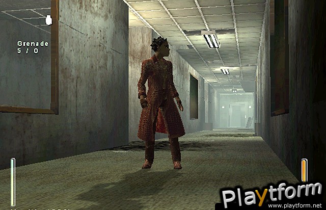 Enter the Matrix (PC)