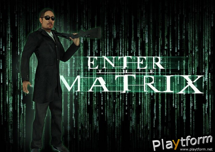 Enter the Matrix (PC)