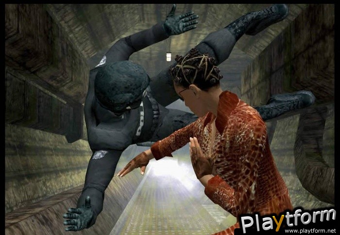 Enter the Matrix (PC)