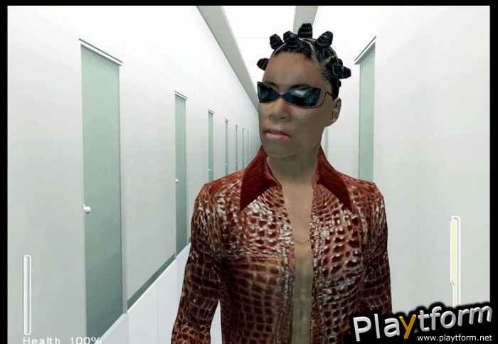 Enter the Matrix (PC)