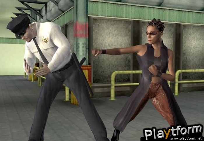 Enter the Matrix (PlayStation 2)