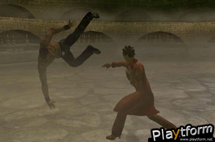 Enter the Matrix (PlayStation 2)