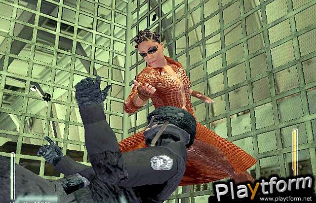 Enter the Matrix (PlayStation 2)