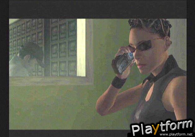 Enter the Matrix (Xbox)