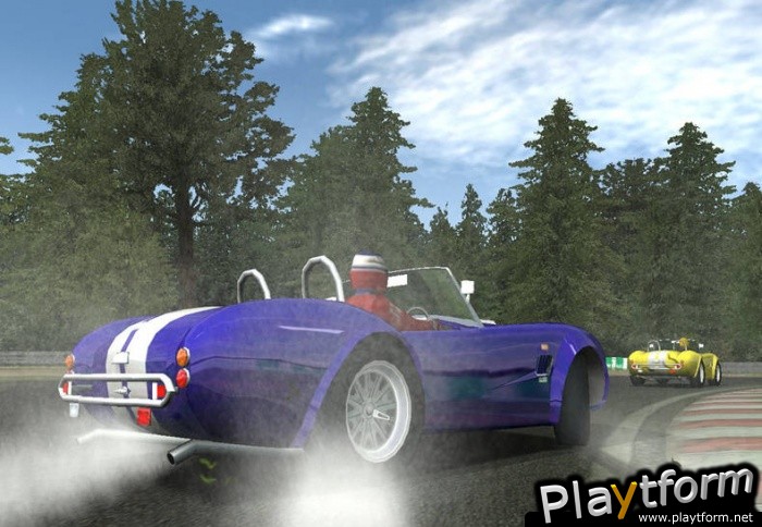 Pro Race Driver (PC)