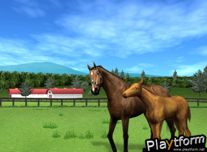 Gallop Racer 2003: A New Breed (PlayStation 2)