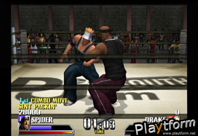 Def Jam Vendetta (GameCube)