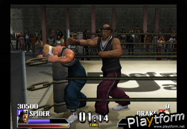 Def Jam Vendetta (GameCube)