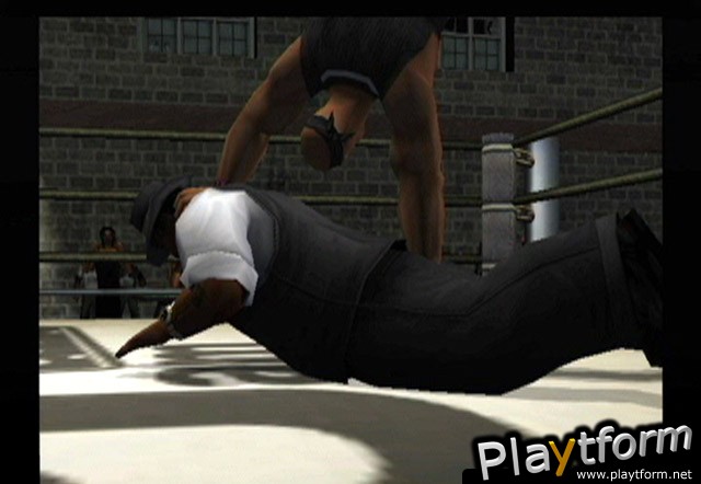 Def Jam Vendetta (GameCube)