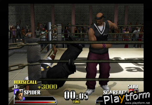 Def Jam Vendetta (GameCube)