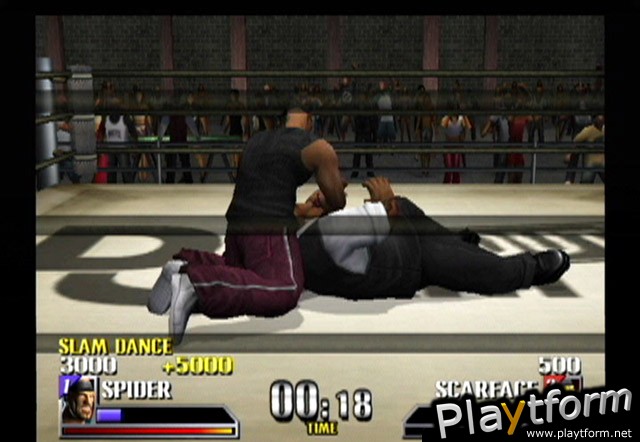 Def Jam Vendetta (GameCube)