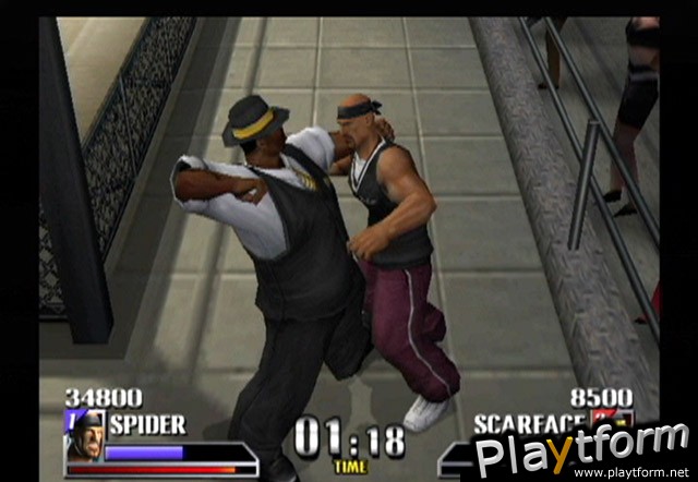 Def Jam Vendetta (GameCube)