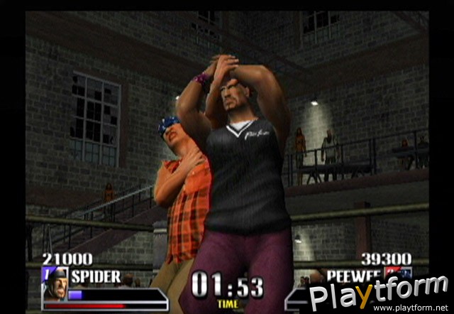 Def Jam Vendetta (GameCube)