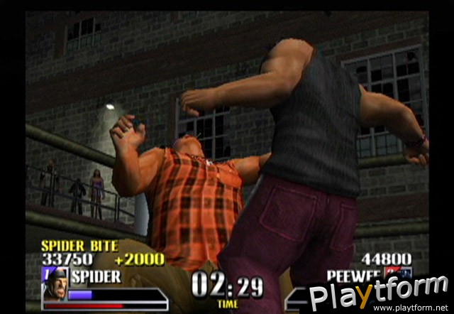 Def Jam Vendetta (GameCube)