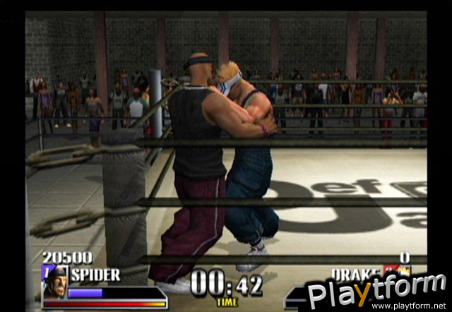 Def Jam Vendetta (GameCube)