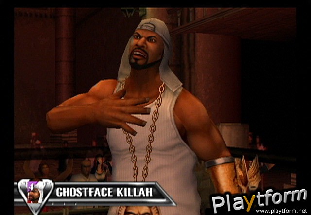 Def Jam Vendetta (GameCube)