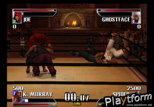 Def Jam Vendetta (GameCube)