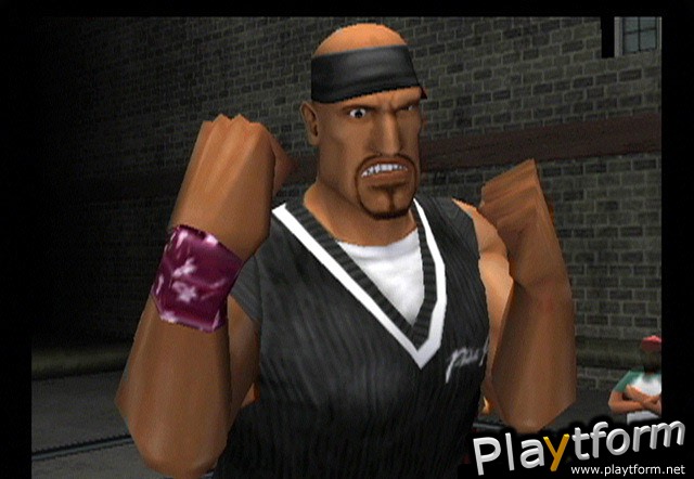 Def Jam Vendetta (GameCube)