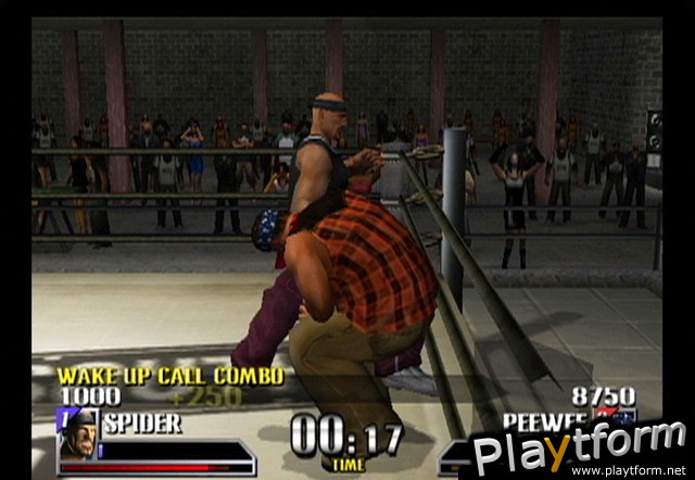 Def Jam Vendetta (GameCube)