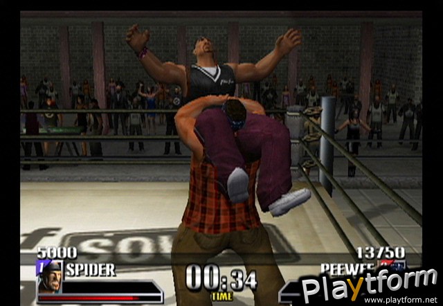 Def Jam Vendetta (GameCube)