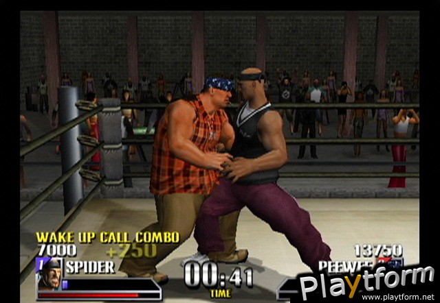 Def Jam Vendetta (GameCube)