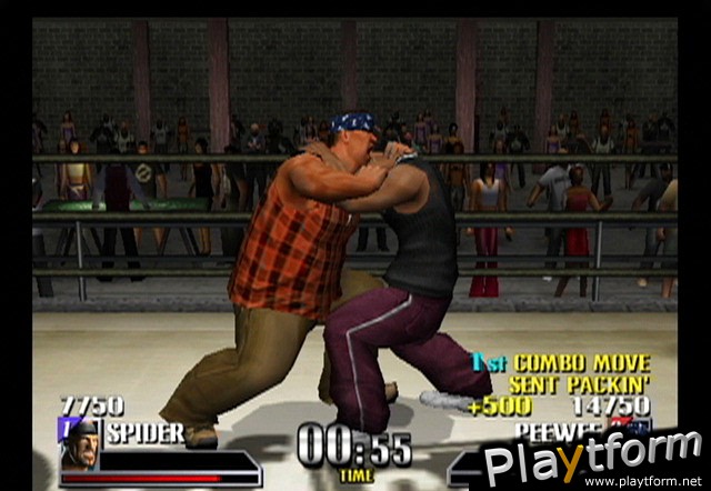 Def Jam Vendetta (GameCube)