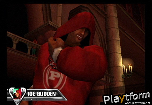 Def Jam Vendetta (GameCube)