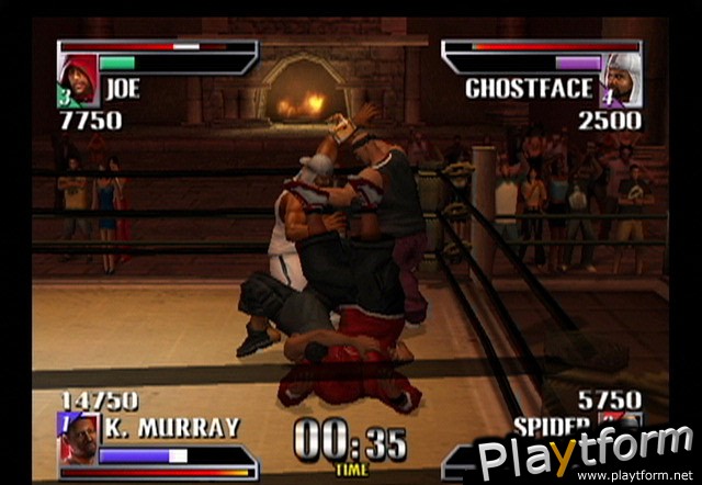 Def Jam Vendetta (GameCube)