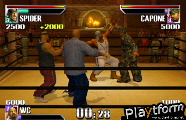 Def Jam Vendetta (GameCube)