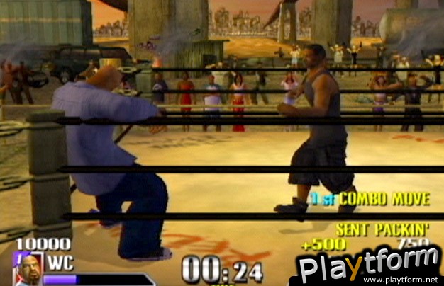 Def Jam Vendetta (GameCube)